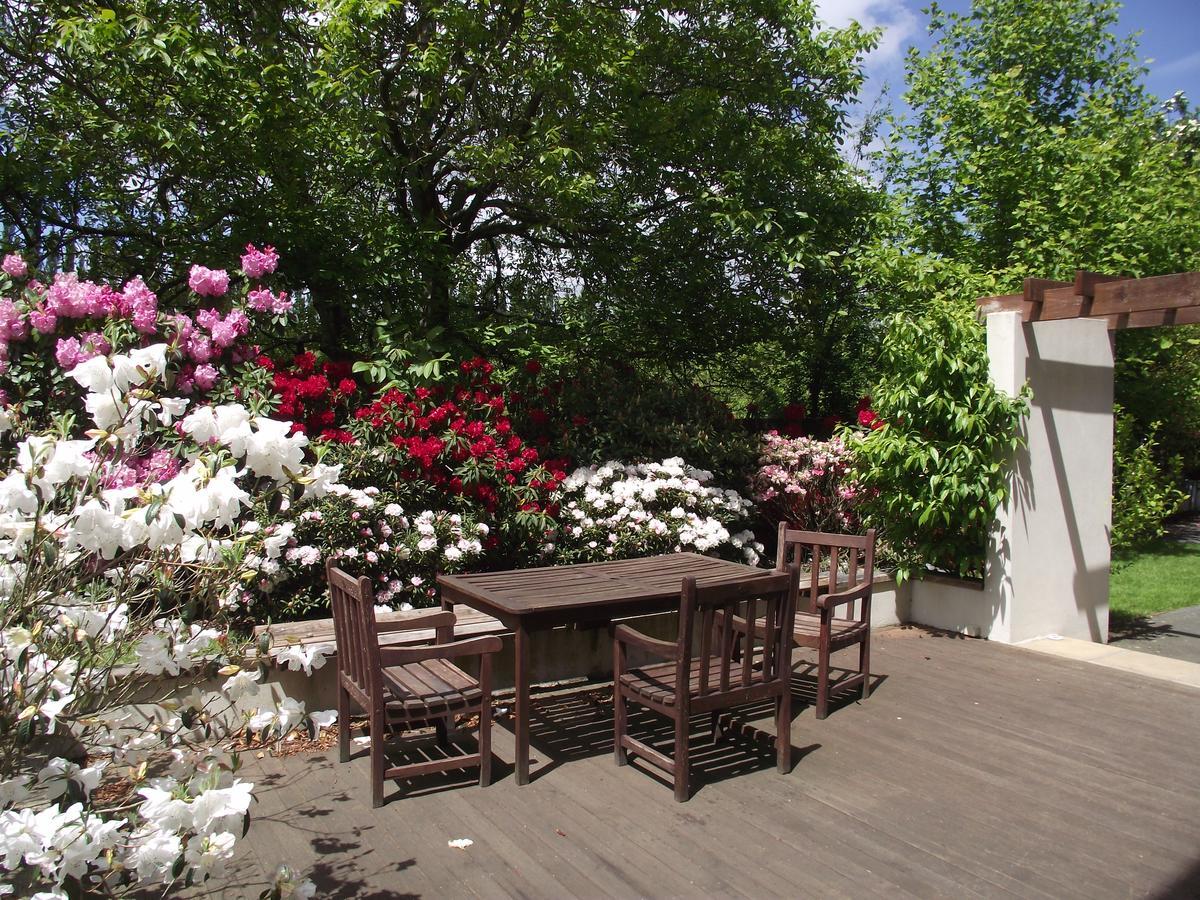 Shamrock Garden B&B Airport Крайстчёрч Экстерьер фото