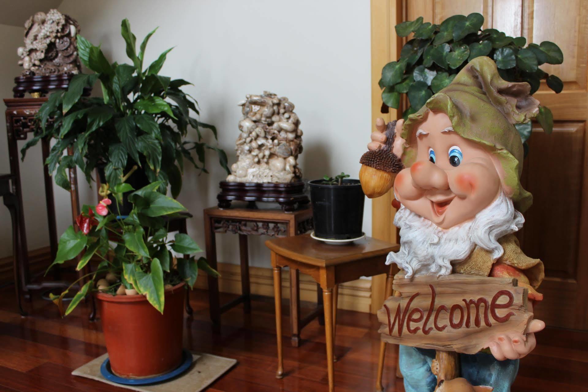 Shamrock Garden B&B Airport Крайстчёрч Экстерьер фото